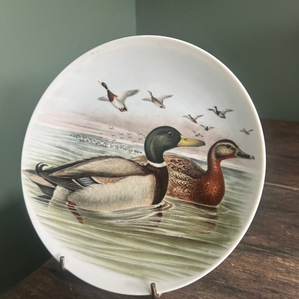 Vintage Knodgen Bavaria Widgeon Duck Collector Plate John Gould Western Germany